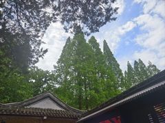 -兴福禅寺