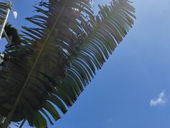 -三亚西岛海洋文化旅游区
