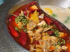 -麻田会 ·牛蛙火锅(珠江新城维家思广场店)