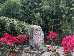 -红螺寺