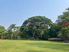 -中国科学院西双版纳热带植物园