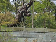-慧因高丽寺