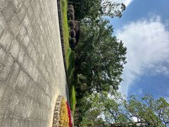 -金山植物公园
