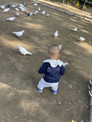 -上美四季动物农场