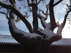 -景山公园