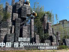 -碧峰峡风景区