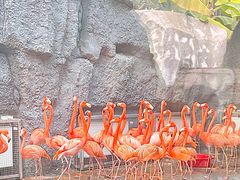 -武汉动物园