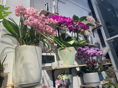 -FEI FEI FLOWER鲜花店·气球派对·宝宝宴布置(虹口德必运动Loft店)
