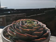 -南诏风情岛