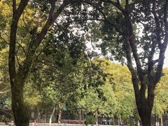 -星巴克(西湖天地店)