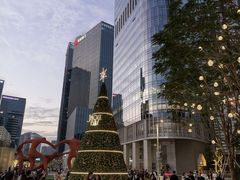 -深圳湾万象城(南山店)