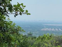 -北京西山国家森林公园