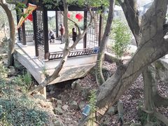 -雨花胜境
