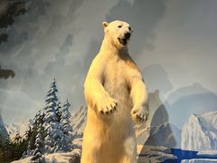 -陕西自然博物馆