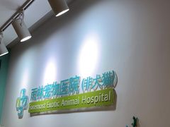 -雨林宠物医院 非犬猫异宠专科