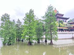 -顺峰山公园