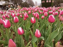 -玄武湖景区-情侣园游乐场