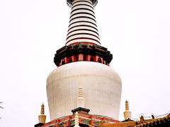 -张掖大佛寺景区