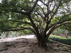 -晓港公园