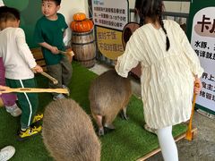 -盈香心动乐园