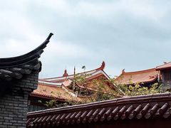 -金鸡山公园