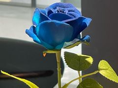 -雀蓝川菜(滨湖万象汇店)