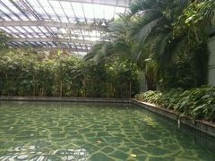 -龙达温泉生态城