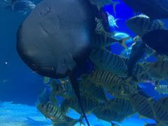 -常州海昌海洋探索馆