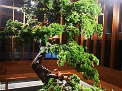 -松子料理(亮马桥店)
