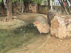 -无锡动物园·太湖欢乐园