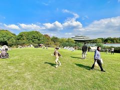-杭州城北体育公园