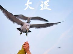 -香宫中餐厅·大连香格里拉(人民路店)
