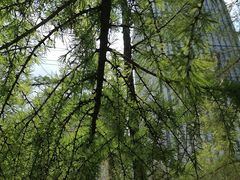 -长春公园(普阳街道)