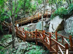 -大岭沟猕猴桃谷风景区