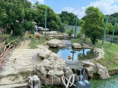 -常州淹城野生动物世界