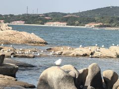 -老虎石海上公园