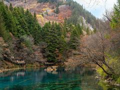 -九寨沟-树正沟