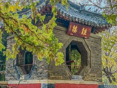 -泰山风景名胜区-普照寺