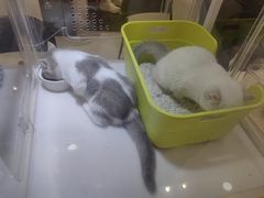 -丽达购物中心(崂山店)