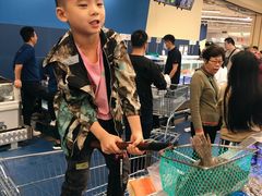 -盒马X会员店(上海森兰商都店)