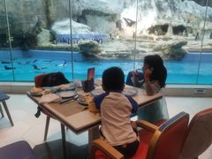 -帝企鹅自助餐厅•儿童岛•真企鹅(长隆企鹅酒店)