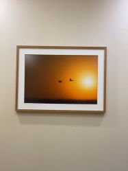 -北京米扬丽格医疗美容·联合丽格鼻整形中心