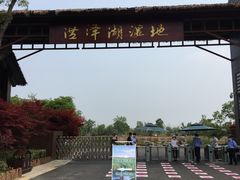 -泗洪洪泽湖湿地景区