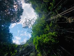 -中岜朗天坑(CV GEO INDO RAYA)