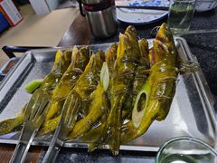 -秦巴石锅鱼(文化南路店)