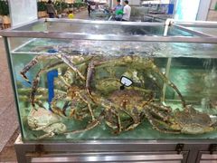 android_upload_pic-渔民新村(番禺总店)