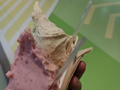 -野人先生现做冰淇淋(北京悠唐购物中心店)