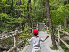 -牛背梁国家森林公园