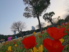 -情侣路