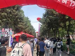 -东北农业大学
